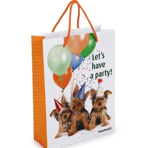 Gavepose  - lets have a party